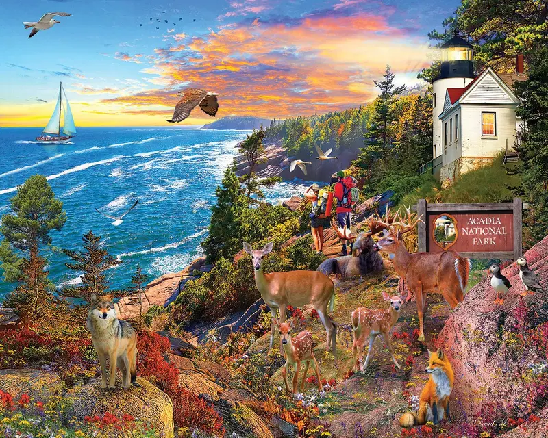 Acadia National Park (1941Pz) - 1000 Piece Jigsaw Puzzle 1