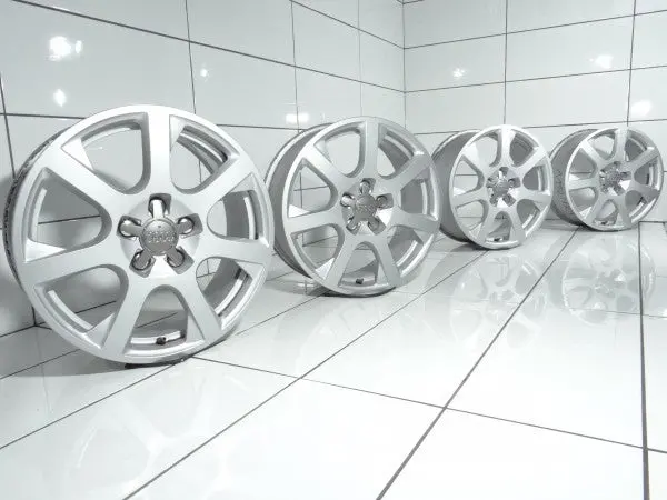 Audi Oe 17' Srebrny Audi Q5, 8R0 1