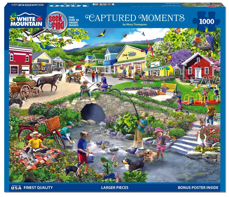 Captured Moments Seek & Find (1893Pz) - 1000 Piece Jigsaw Puzzle 1