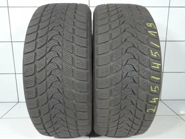 Delinte Winter Wd1 245/45R19 98 S 1