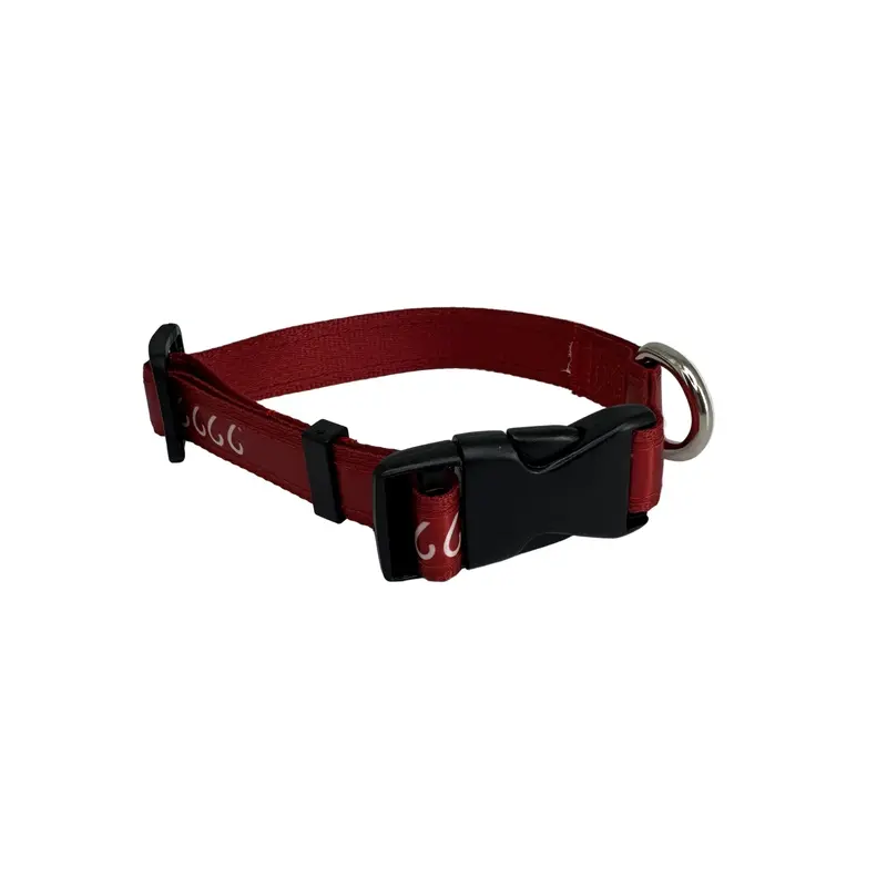 Four Sixes Dog Collar 1