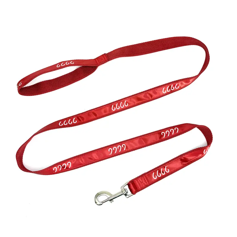 Four Sixes Dog Leash 1