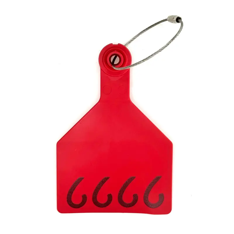 Four Sixes Ear Tag 1