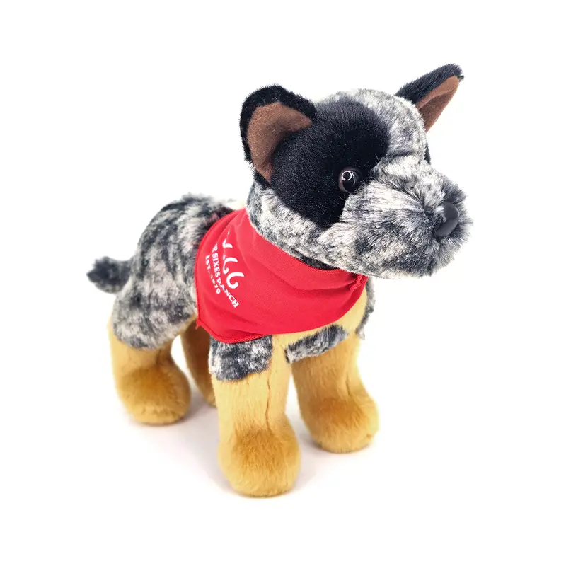 Four Sixes Small Australian Cattle Dog - Clanger 1