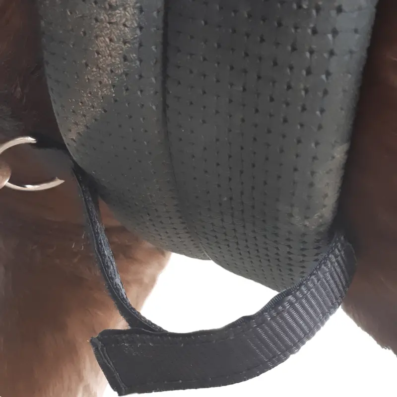 Girth Loop Adjustable 1
