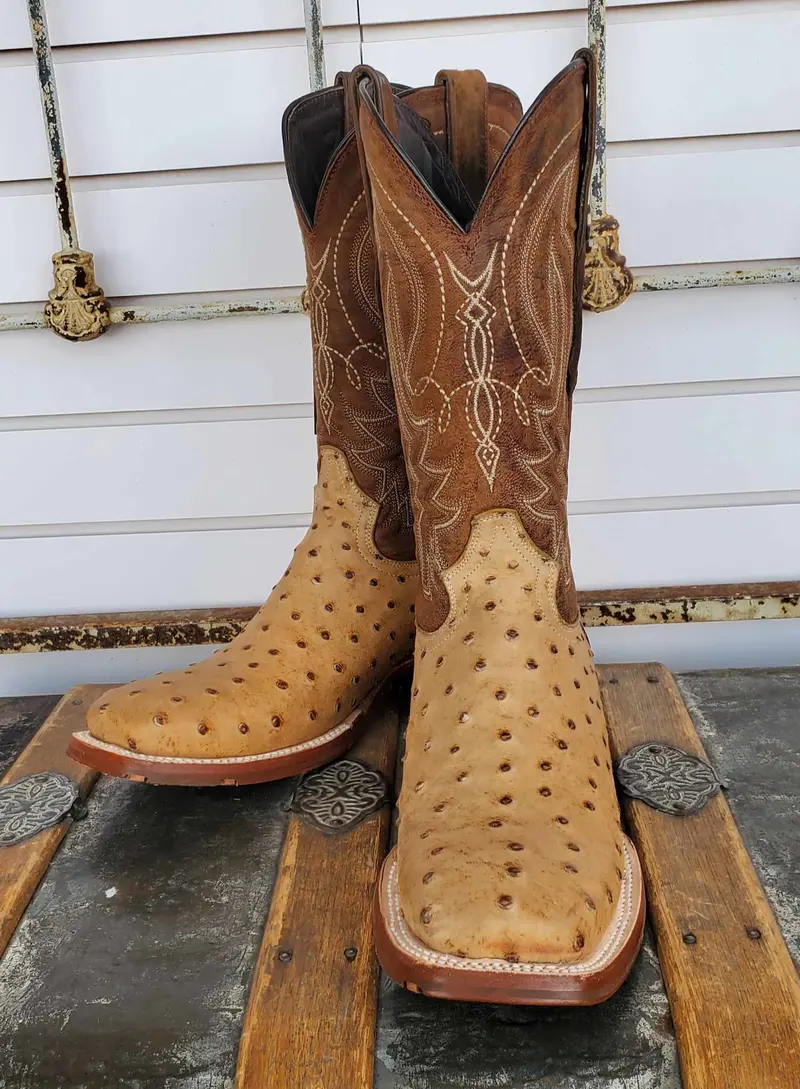 Men's Tanner Mark Antique Ostrich Print Boot 1