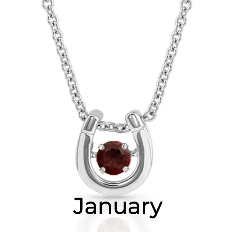 Montana Silversmith  Dancing Birthstone Horseshoe Necklace 1