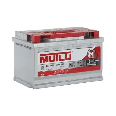 Mutlu 12 Volt 66 (Ford Tipi)  Üretim Yılı: 2024 1