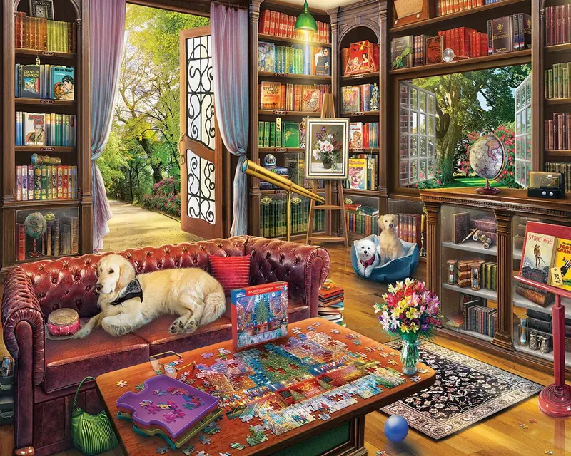 Puzzle Library (1796Pz) - 1000 Piece Jigsaw Puzzle 1