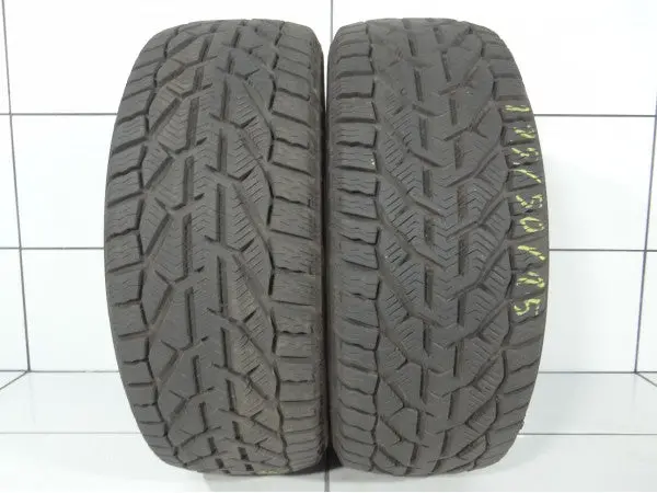 Riken Snow 195/50R15 82 H 1