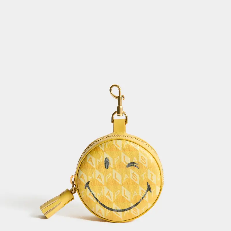 Wink Ear Phones Travel Pouch 1