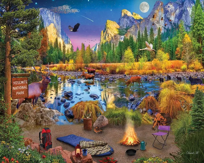 Yosemite (1785Pz) - 1000 Piece Jigsaw Puzzle 1